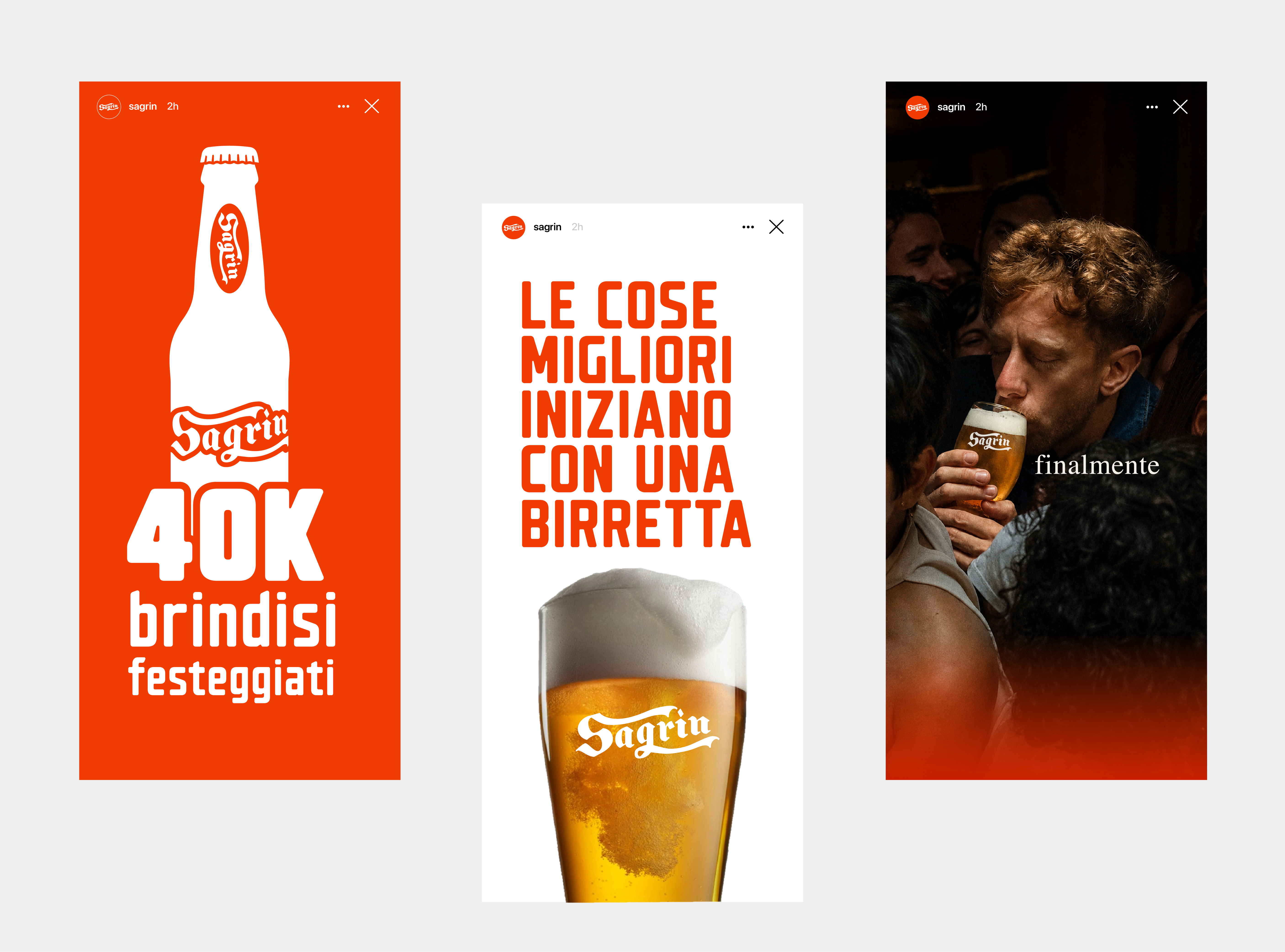 Presentazione finale del progetto Sagrin